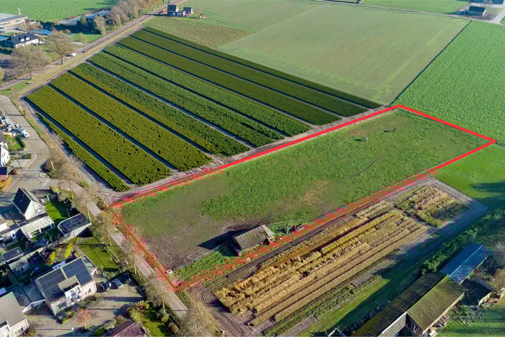 Photo 3 of Roedje Ghielenstraat 8