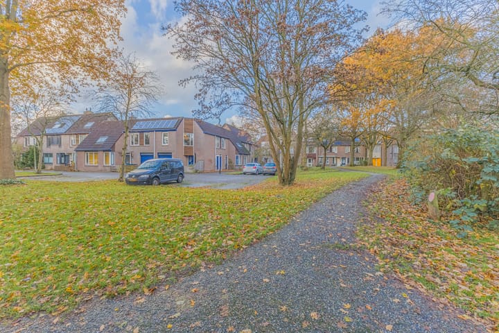 Foto 20 van Steenuilstraat 11