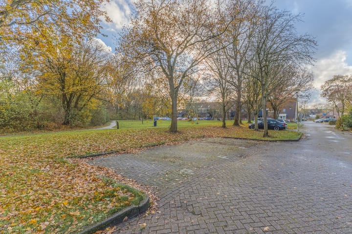 Foto 21 van Steenuilstraat 11