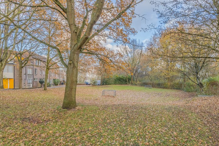 Foto 22 van Steenuilstraat 11