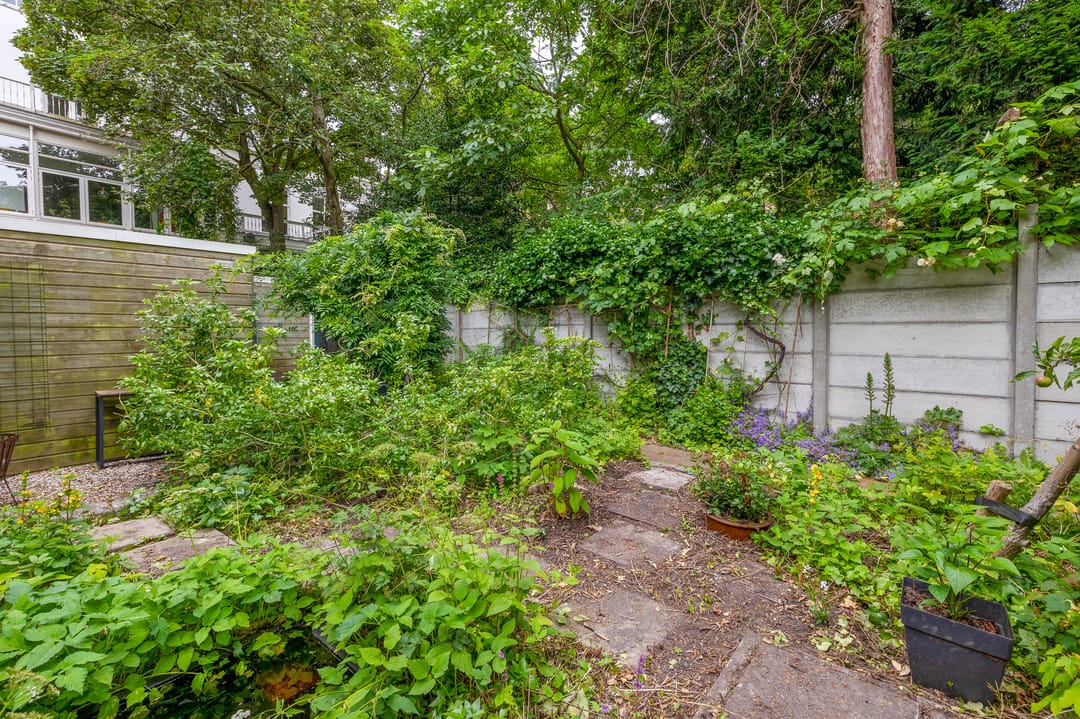 Foto 46 van Eendrachtsstraat 33