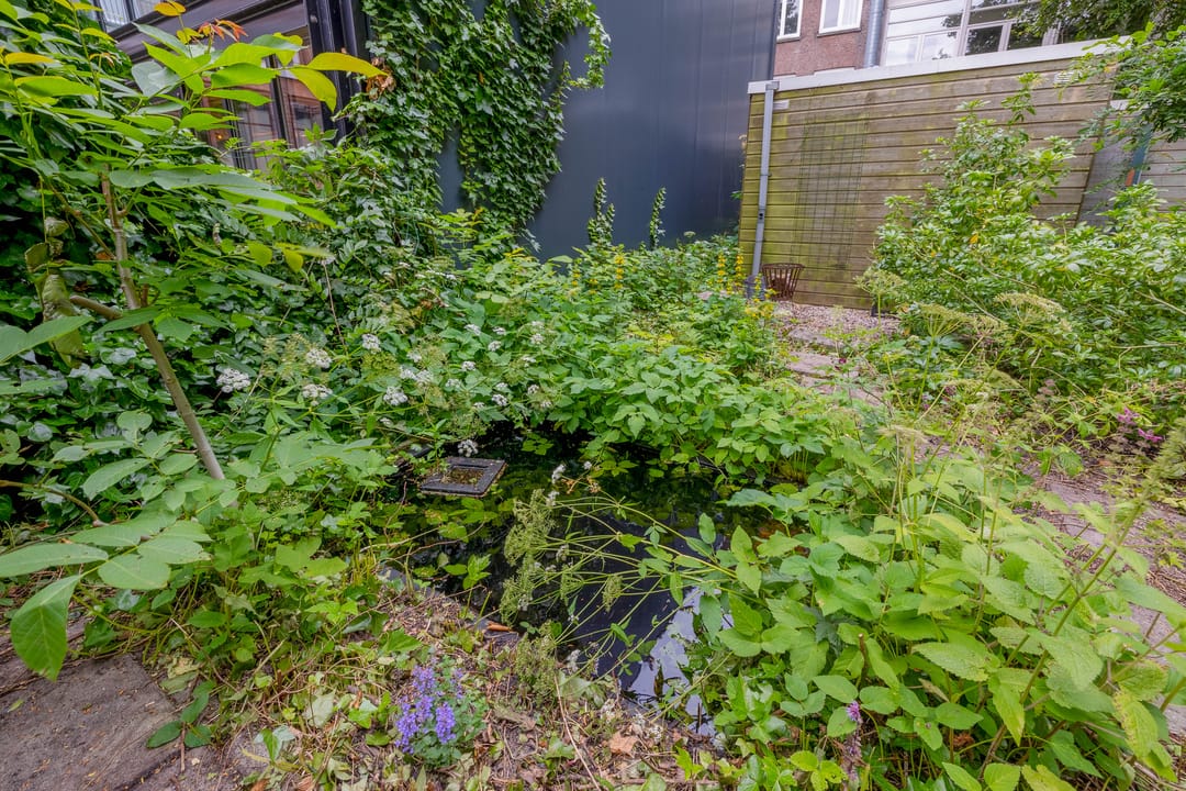 Foto 47 van Eendrachtsstraat 33