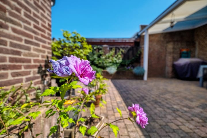 Foto 25 van Agaatstraat 6