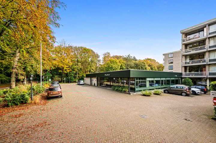 Foto 2 van Stoeplaan 11-F55