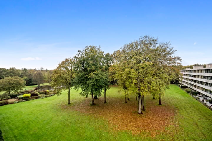 Foto 8 van Stoeplaan 11-F55