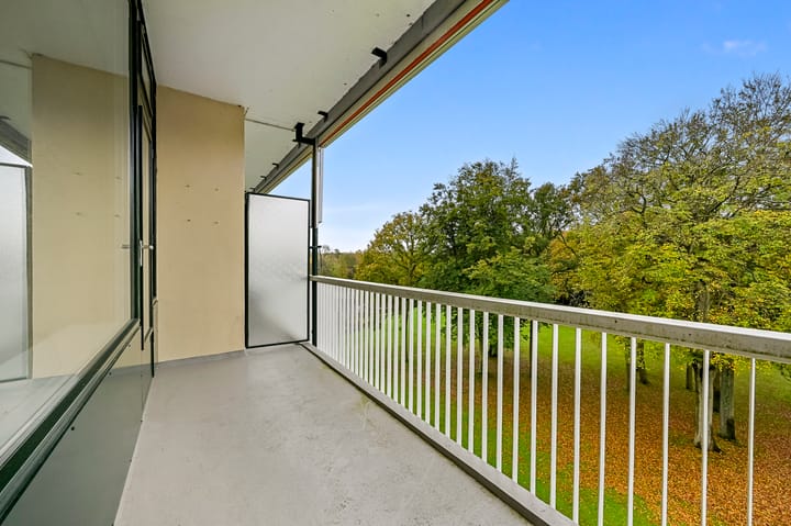 Foto 20 van Stoeplaan 11-F55