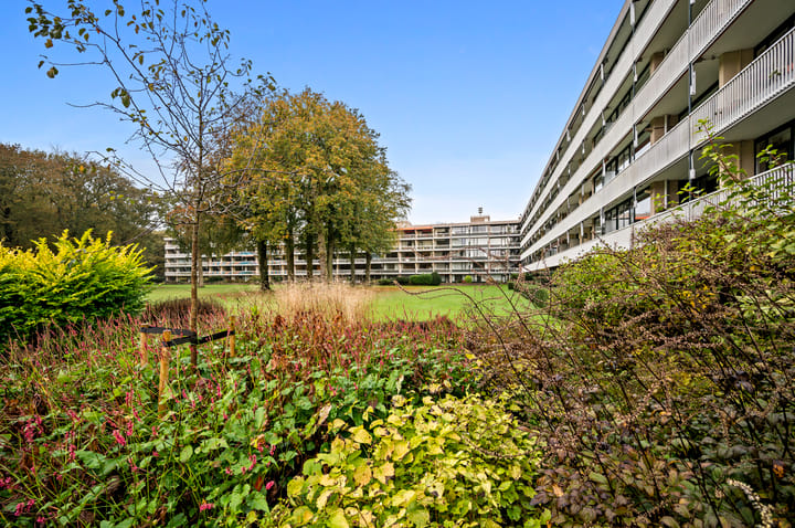 Foto 22 van Stoeplaan 11-F55