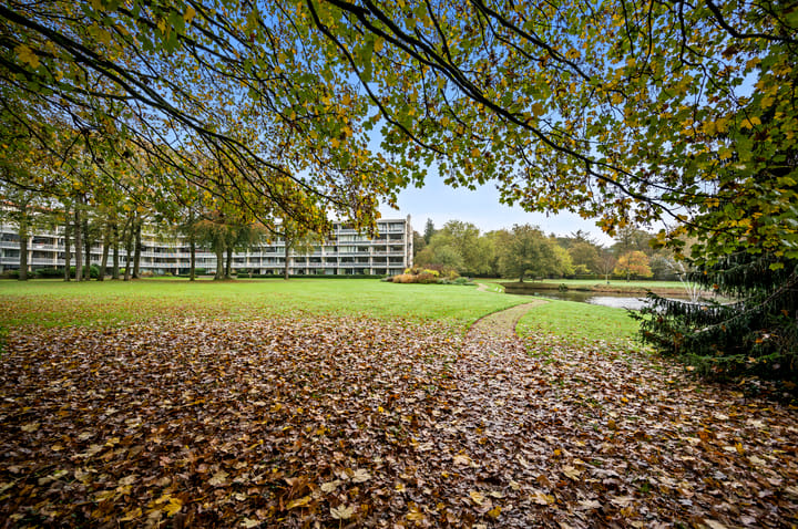 Foto 23 van Stoeplaan 11-F55