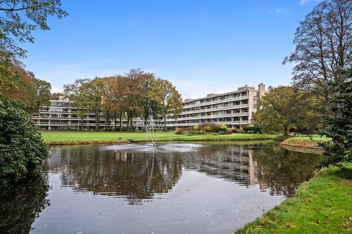 Foto 24 van Stoeplaan 11-F55