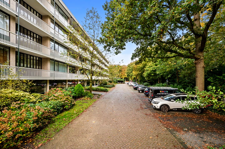 Foto 25 van Stoeplaan 11-F55