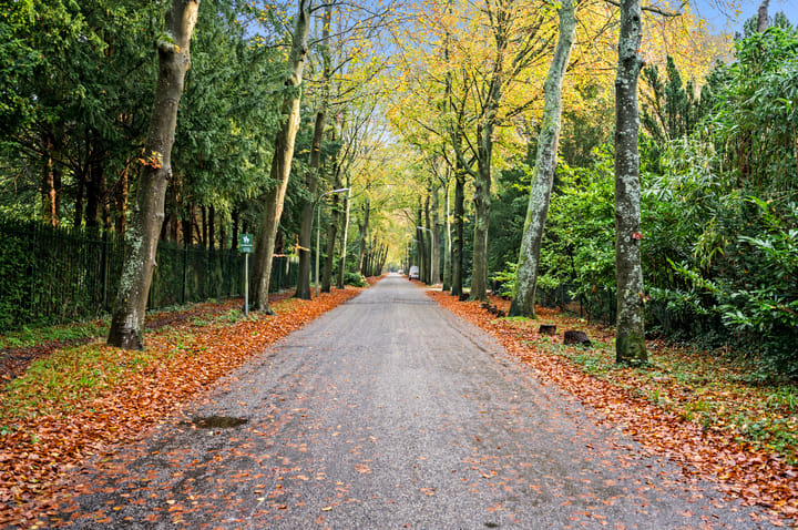 Foto 28 van Stoeplaan 11-F55