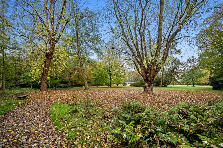 Foto 29 van Stoeplaan 11-F55