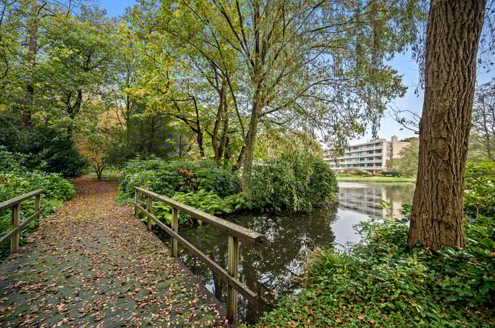 Foto 30 van Stoeplaan 11-F55