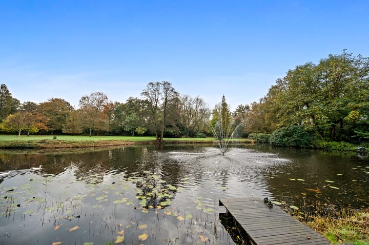 Foto 31 van Stoeplaan 11-F55