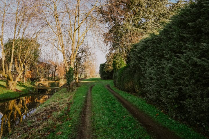 Foto 21 van Middelkoop 58