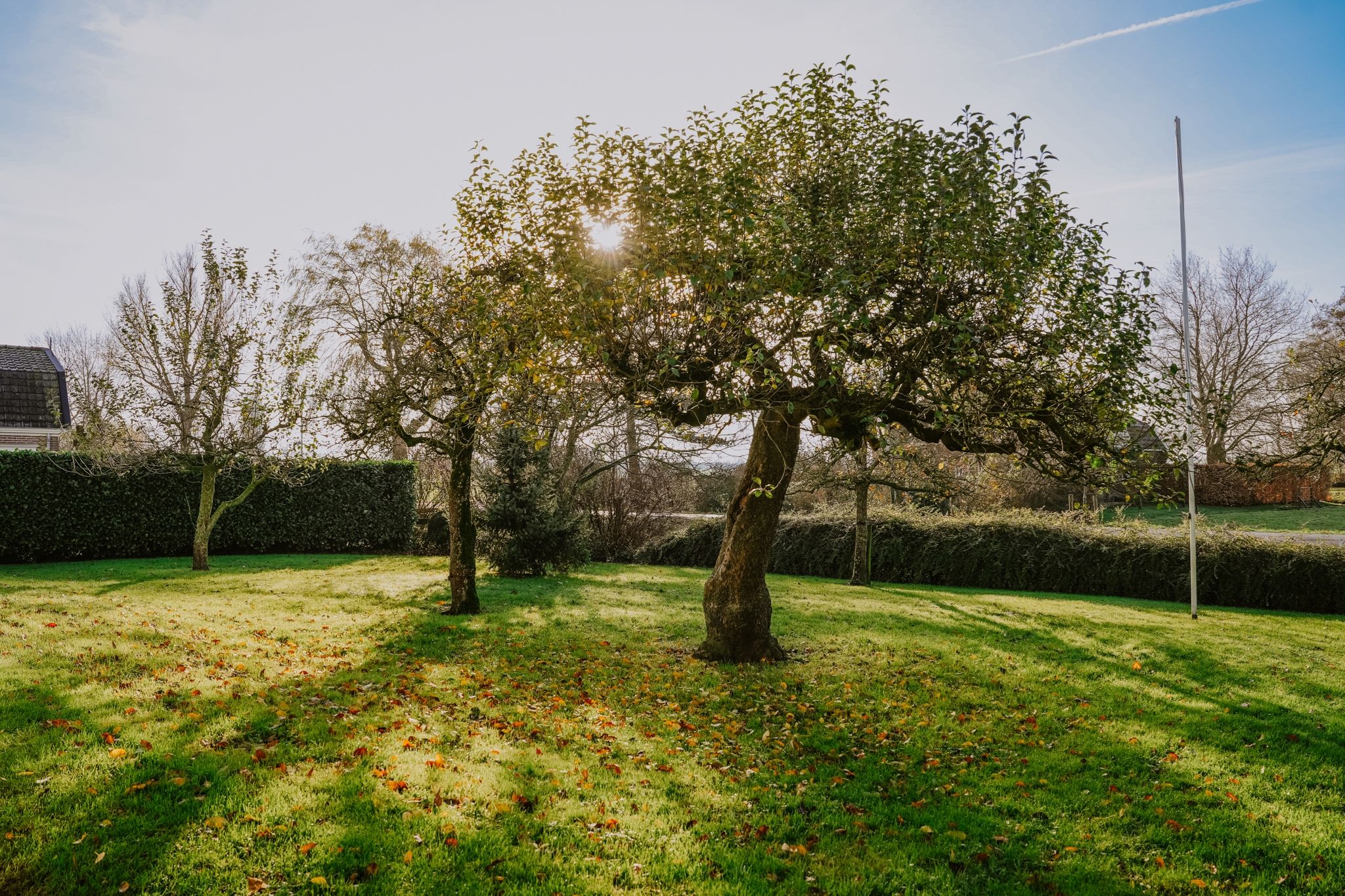 Photo 24 of Middelkoop 58