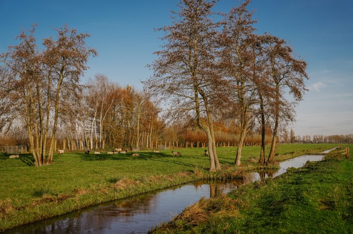 Foto 25 van Middelkoop 58