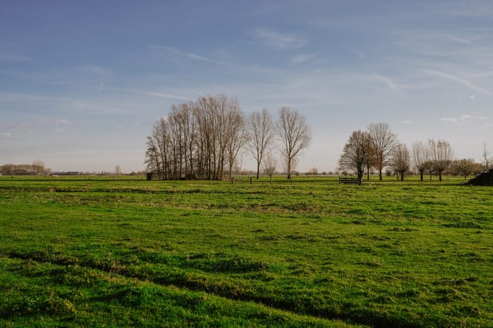 Foto 29 van Middelkoop 58