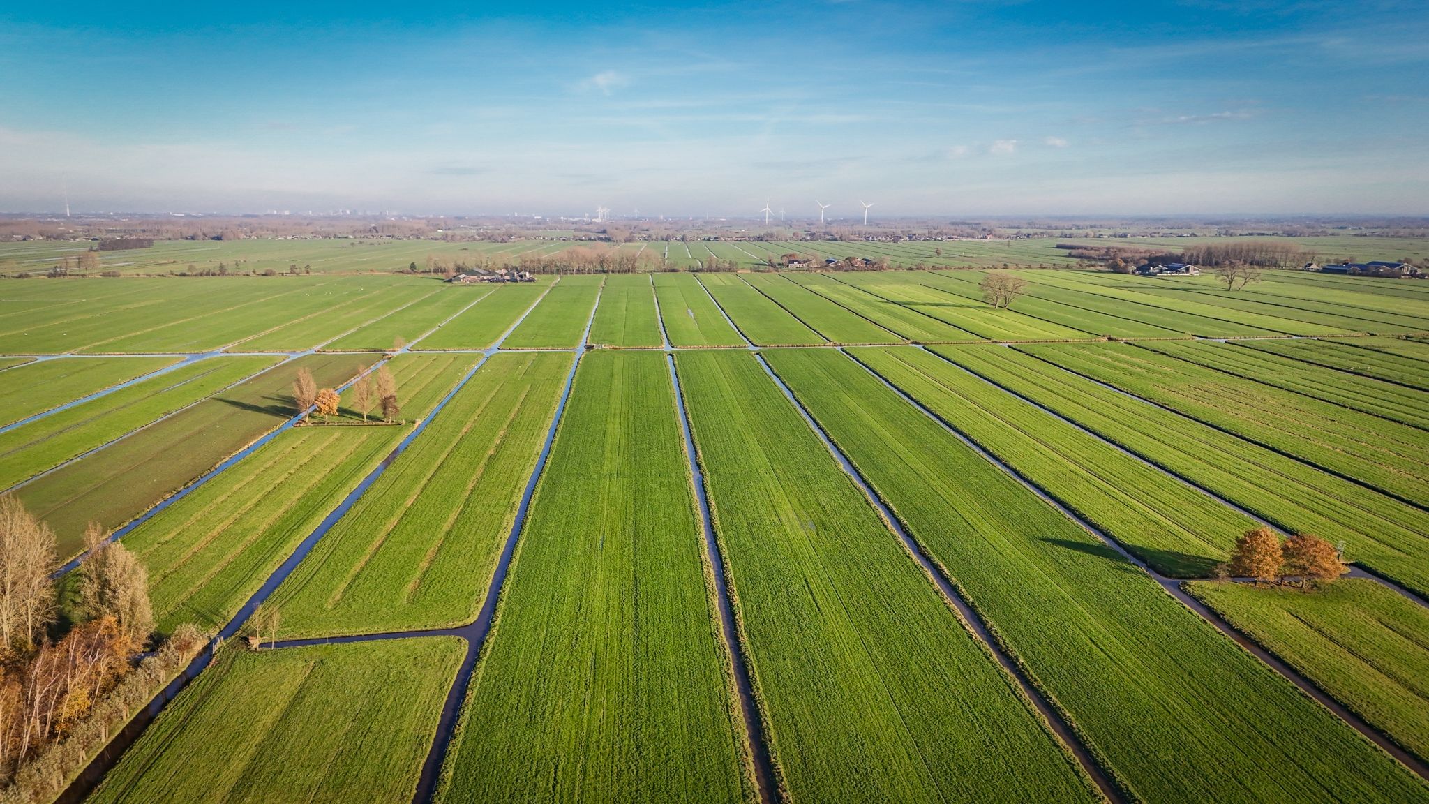 Photo 33 of Middelkoop 58