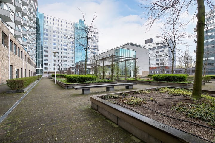 Bekijk foto 2 van Koningin Wilhelminaplein 668