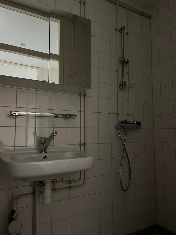 Photo 11 of Vliestroom 60