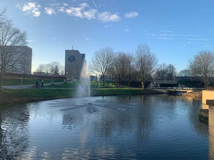 Photo 25 of Vliestroom 60