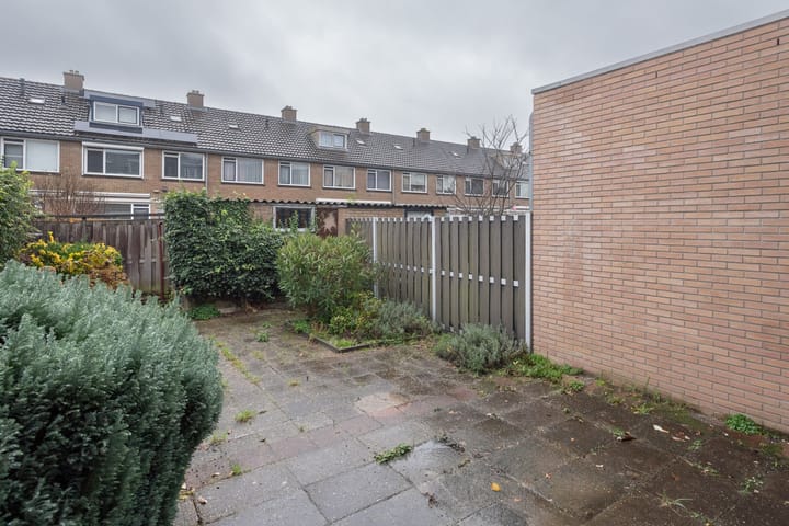 Foto 24 van Goudkruid 46