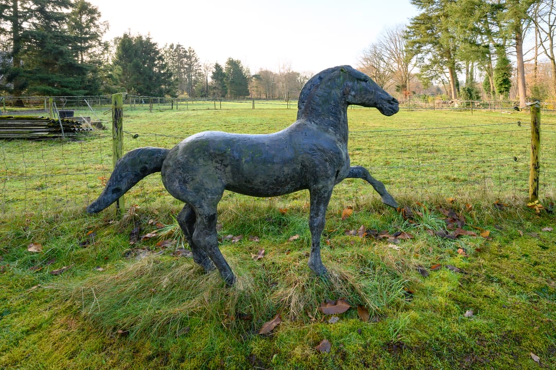 Foto 32 van Harderwijkerweg 22