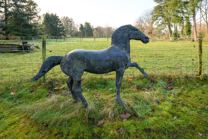 Foto 32 van Harderwijkerweg 22