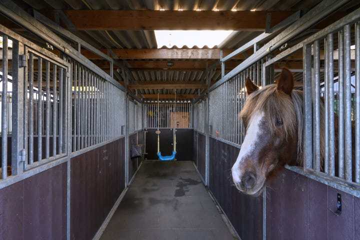 Foto 34 van Harderwijkerweg 22