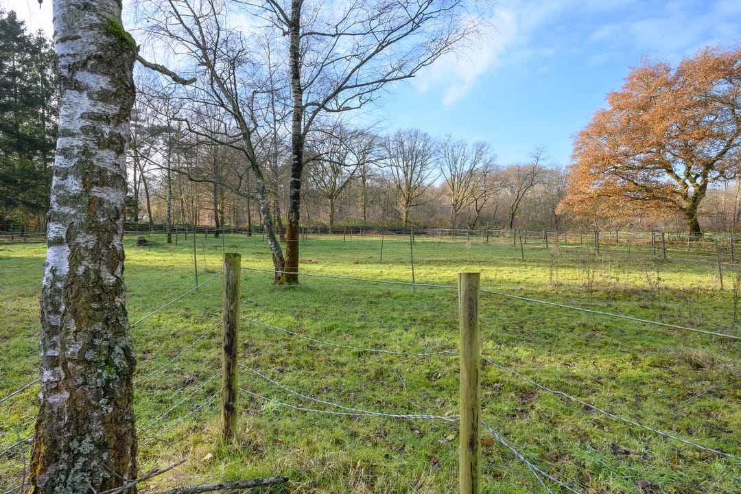 Foto 41 van Harderwijkerweg 22