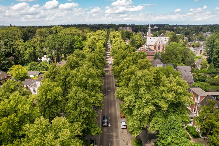 Foto 2 van Loolaan 41-135