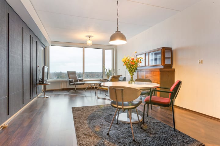 Foto 3 van Loolaan 41-135