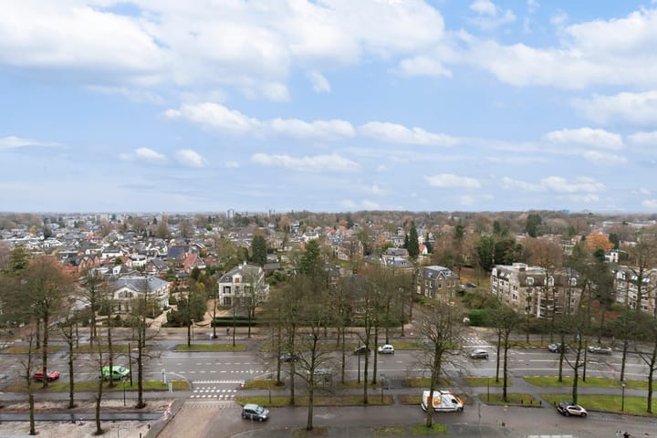 Foto 5 van Loolaan 41-135