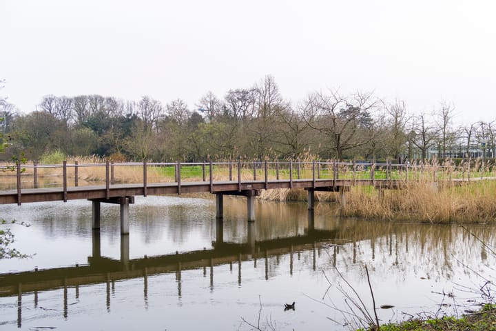 Foto 23 van Reinwardtstraat 17