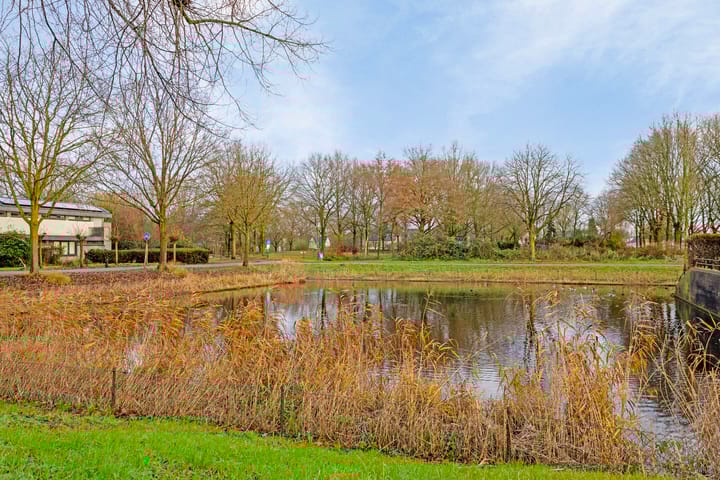 Photo 32 of Staringlaan 49