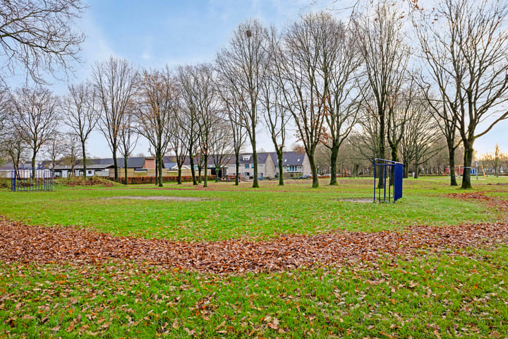 Photo 33 of Staringlaan 49