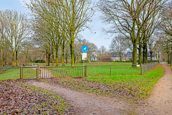 Photo 34 of Staringlaan 49