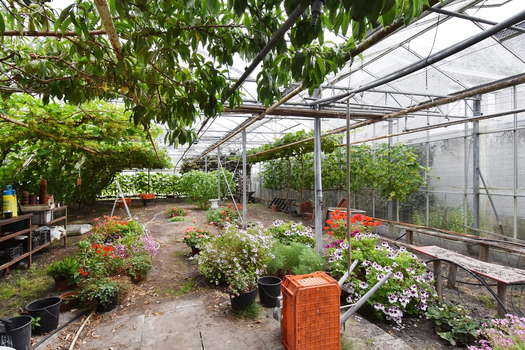 Foto 52 van Santhorsthof 50