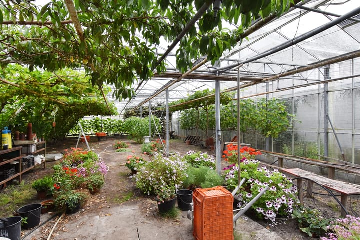 Foto 52 van Santhorsthof 50