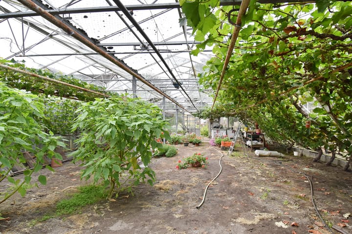 Foto 53 van Santhorsthof 50