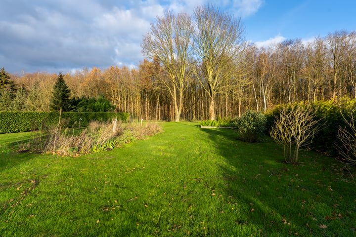 Bekijk foto 39 van Exloërkijl-Zuid 59