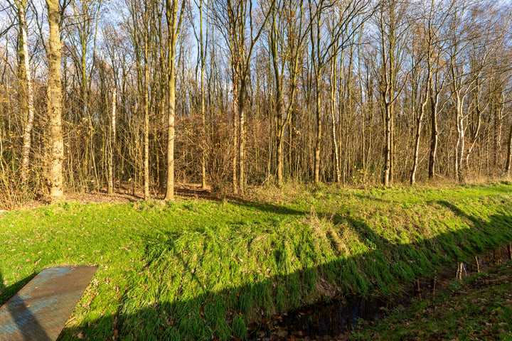 Bekijk foto 40 van Exloërkijl-Zuid 59