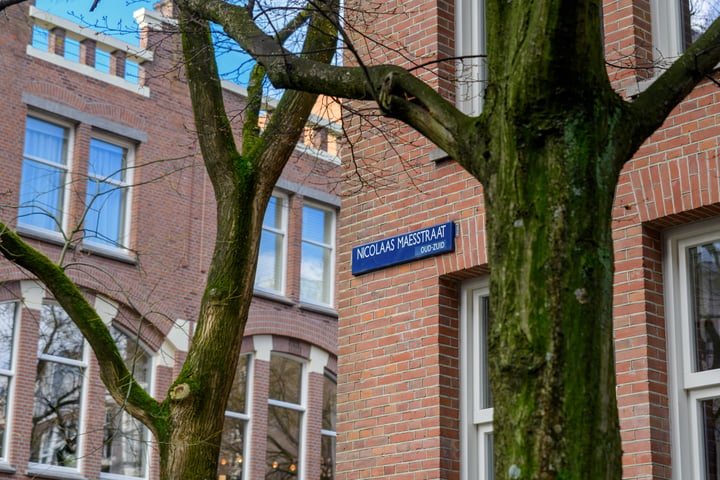 Bekijk foto 29 van Nicolaas Maesstraat 88-2