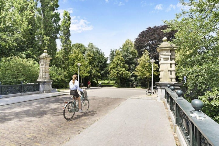 Bekijk foto 30 van Nicolaas Maesstraat 88-2