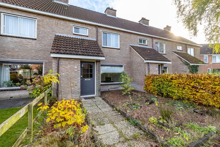 Foto 2 van Entinge 36