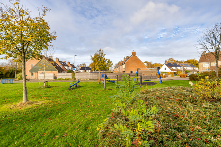 Foto 33 van Entinge 36