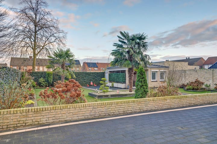 Foto 38 van Eikenrijs 3