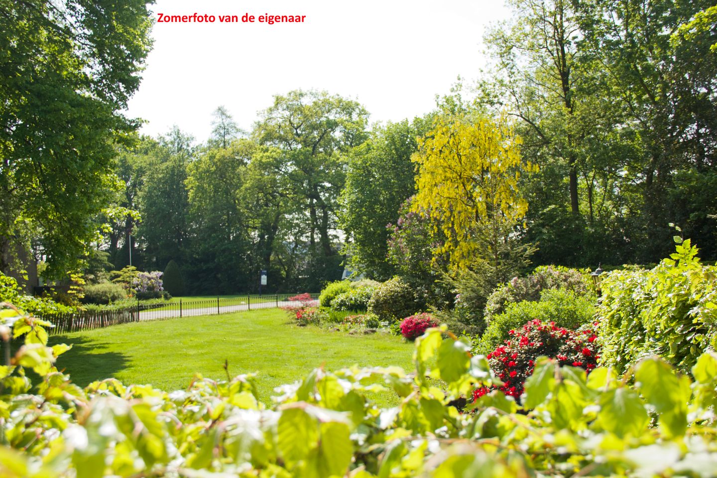 Photo 40 of ter Borgweg 3