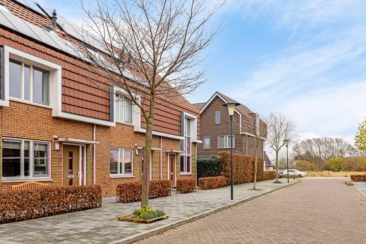 Foto 3 van Veenwortel 19